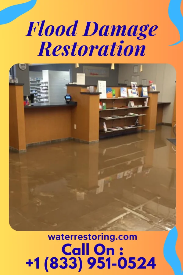 Flood Damage Restoration in Sturtevant, WI