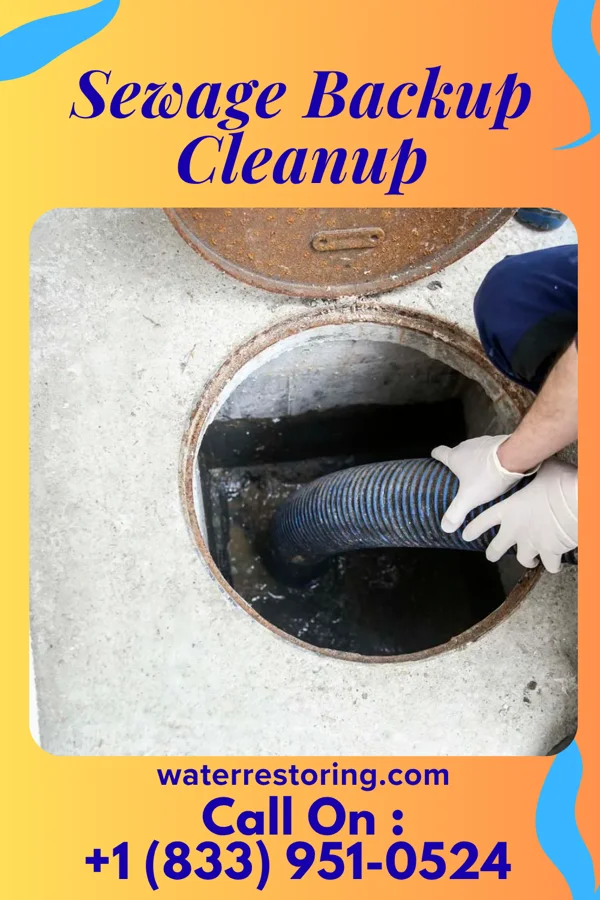 Sewage Backup Cleanup in Sturtevant, WI